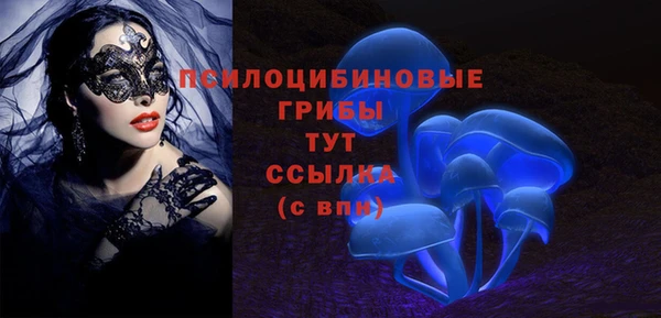 тгк Беломорск